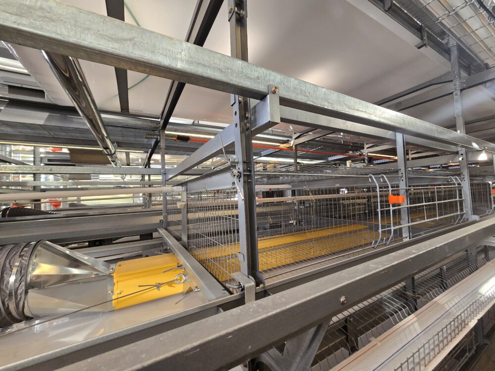 Cage bottom ventilation system Cage bottom ventilation system