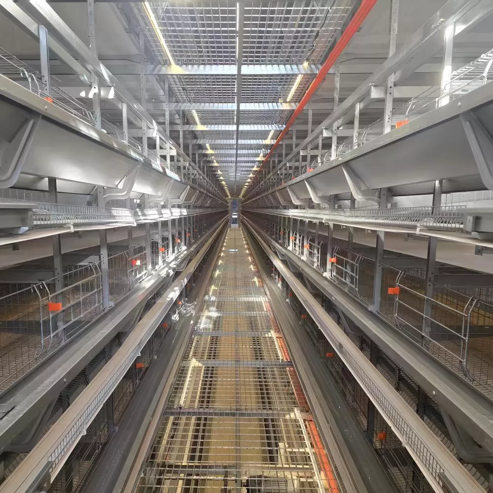 High-rise stacking egg cage egg chicken layer cage