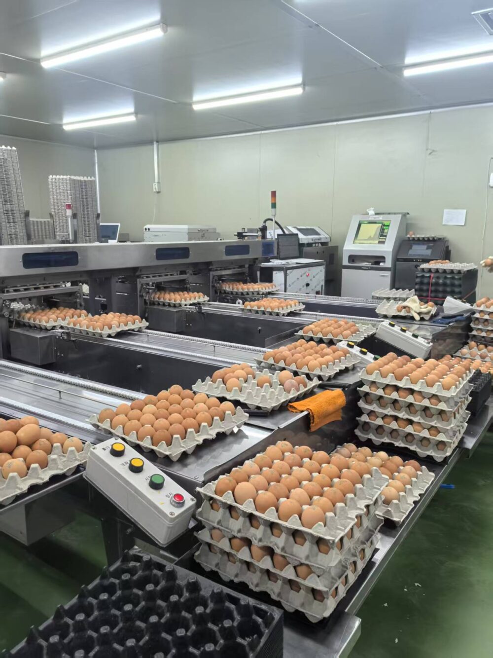 egg sorting equipment egg sorting equipment