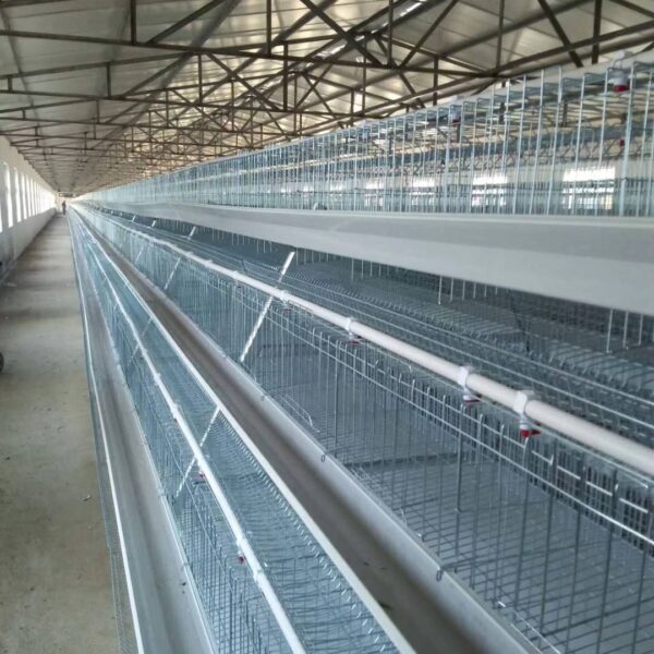 A tpye layer cage